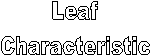 Leaf
Characteristic