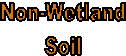 Non-Wetland
Soil